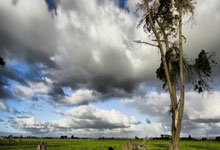 海港小将李新翔：教练让我一对一果断点，对自己表现还算满意.