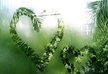 海星体育官网：快船躺升第七！森林狼爆冷遭鹈鹕逆转 锡安29+8制胜球华子29+6.