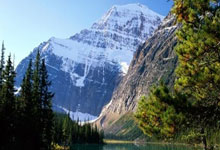 海星体育官网：鲁尔新闻：多特今夏将第三次追切尔基，视其为阵容重组的核心引援.