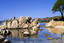 联赛杯迎战南安普敦 利物浦有望高歌猛进.